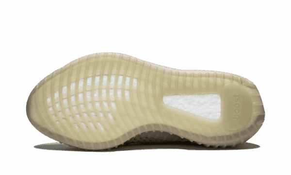 Yeezy Boost 350 V2 True Form - immagine 4
